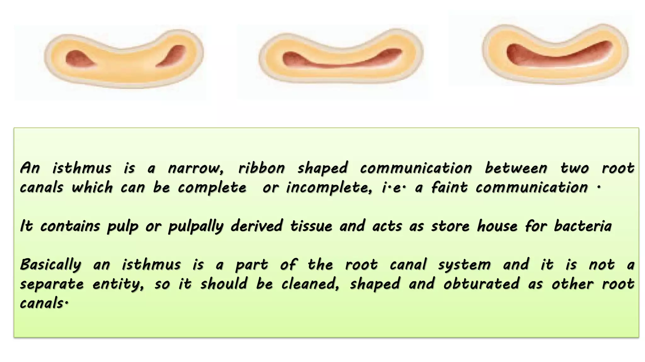 It contains pulp or pulpally derived tissue and acts as store house for bacteria
 