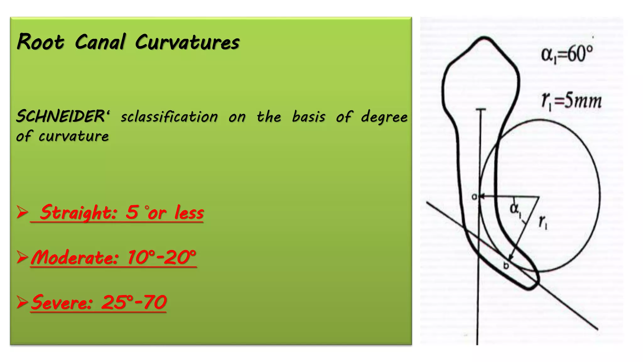 Root Canal Curvatures
SCHNEIDER‘ sclassification on the basis of degree
of curvature
➢ Straight: 5 ̊or less
➢Moderate: 10°-20°
➢Severe: 25°-70
 