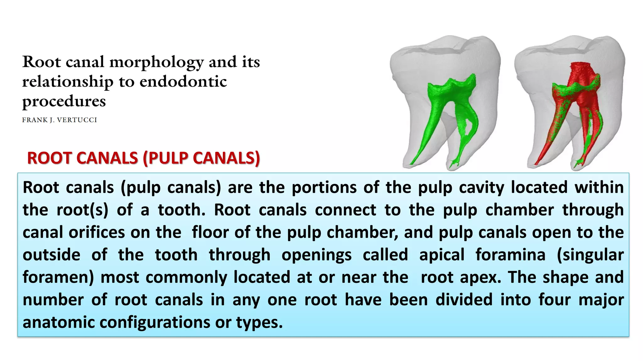 ROOT CANALS (PULP CANALS)
Root canals (pulp canals) are the portions of the pulp cavity located within
the root(s) of a tooth. Root canals connect to the pulp chamber through
canal orifices on the floor of the pulp chamber, and pulp canals open to the
outside of the tooth through openings called apical foramina (singular
foramen) most commonly located at or near the root apex. The shape and
number of root canals in any one root have been divided into four major
anatomic configurations or types.
 
