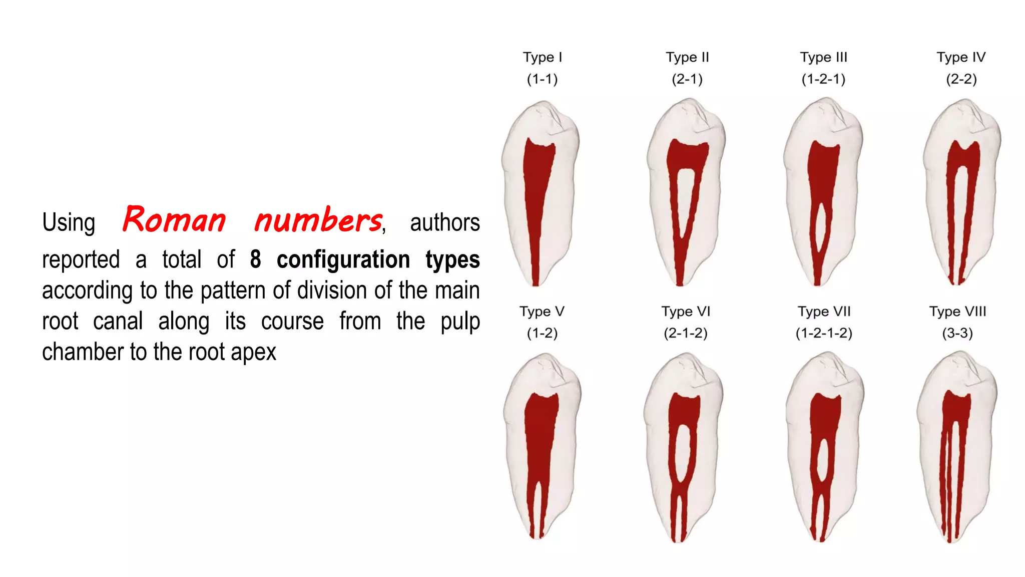 Introduction
Using Roman numbers, authors
reported a total of 8 configuration types
according to the pattern of division of the main
root canal along its course from the pulp
chamber to the root apex
 