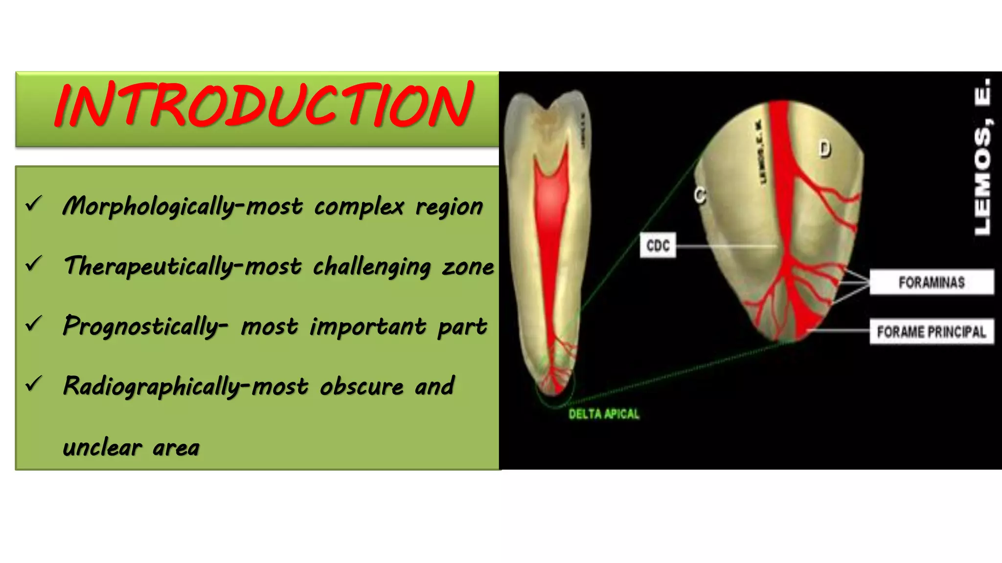 INTRODUCTION
✓ Morphologically-most complex region
✓ Therapeutically-most challenging zone
✓ Prognostically- most important part
✓ Radiographically-most obscure and
unclear area
 