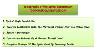 Topography of the apical constriction
(DUMMER CLASSIFICATION)
1. Typical Single Constriction
2. Tapering Constriction With The Narrowest Portion Near The Actual Apex
3. Several Constrictions
4. Constriction Followed By A Narrow, Parallel Canal
5. Complete Blockage Of The Apical Canal By Secondary Dentin
 