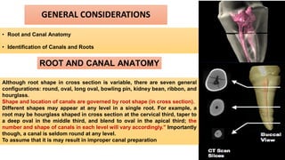 GENERAL CONSIDERATIONS
• Root and Canal Anatomy
• Identification of Canals and Roots
ROOT AND CANAL ANATOMY
Although root shape in cross section is variable, there are seven general
configurations: round, oval, long oval, bowling pin, kidney bean, ribbon, and
hourglass.
Shape and location of canals are governed by root shape (in cross section).
Different shapes may appear at any level in a single root. For example, a
root may be hourglass shaped in cross section at the cervical third, taper to
a deep oval in the middle third, and blend to oval in the apical third; the
number and shape of canals in each level will vary accordingly." Importantly
though, a canal is seldom round at any level.
To assume that it is may result in improper canal preparation
 