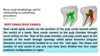 ROOT CANALS (PULP CANALS)
Root canals (pulp canals) are the portions of the pulp cavity located within
the root(s) of a tooth. Root canals connect to the pulp chamber through
canal orifices on the floor of the pulp chamber, and pulp canals open to the
outside of the tooth through openings called apical foramina (singular
foramen) most commonly located at or near the root apex. The shape and
number of root canals in any one root have been divided into four major
anatomic configurations or types.
 