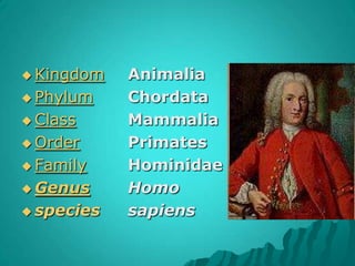 KingdomAnimaliaPhylumChordata ClassMammalia OrderPrimates FamilyHominidaeGenus 	Homospeciessapiens