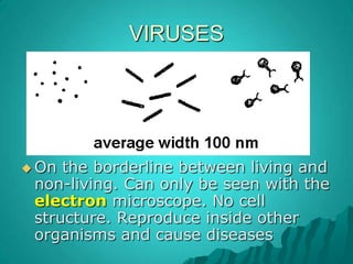 VIRUSESOn the borderline between living and non-living. Can only be seen with the electron microscope. No cell structure. Reproduce inside other organisms and cause diseases