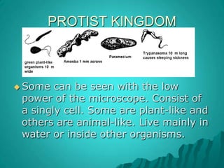 PROTIST KINGDOMSome can be seen with the low power of the microscope. Consist of a singly cell. Some are plant-like and others are animal-like. Live mainly in water or inside other organisms.