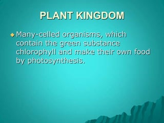 PLANT KINGDOMMany-celled organisms, which contain the green substance chlorophyll and make their own food by photosynthesis.