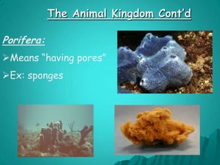 They obtain food from OUTSIDE SOURCES