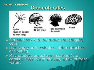 They move from place to place to get food