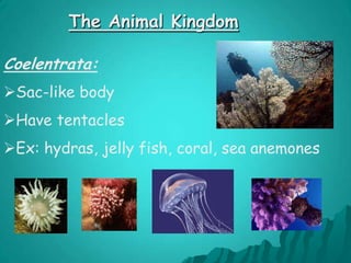 They swallow their foodand they digest food inside the body.The Animal Kingdom- REVIEW INVERTEBRATE-An animal that does not 				  have a backbone2) VERTEBRATE-An animal that has a 					backbone