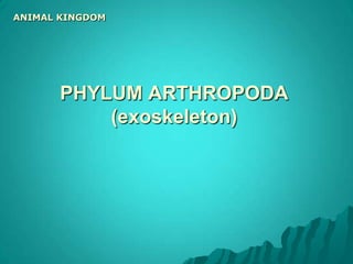 ANIMAL KINGDOMSegmented warms  (Annelids)Body long and divided by rings into a series ofsegments. Most are aquatic (live in water), but some live in the soil. Some are external parasites.