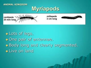 MolluscsANIMAL KINGDOMBody soft and unsegmented, in most cases covered by a shell. Most are aquatic, some live on the seashore and on land. 