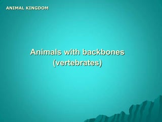 Snail, & Sea Scallop