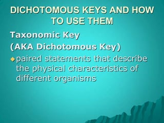 hard external skeleton