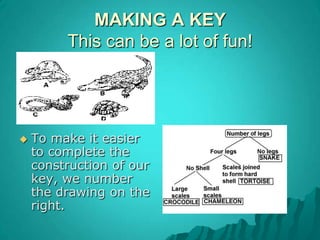 MyriapodsANIMAL KINGDOMLots of legs. One pair of antennae. Body long and clearly segmented. Live on land