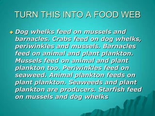 InsectsANIMAL KINGDOMThree pairs of legs. One pair of antennae Body divided into three parts: head, thorax and abdomen. Usually two pairs of wings