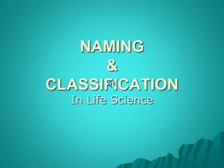 NAMING &CLASSIFICATION In Life Science 