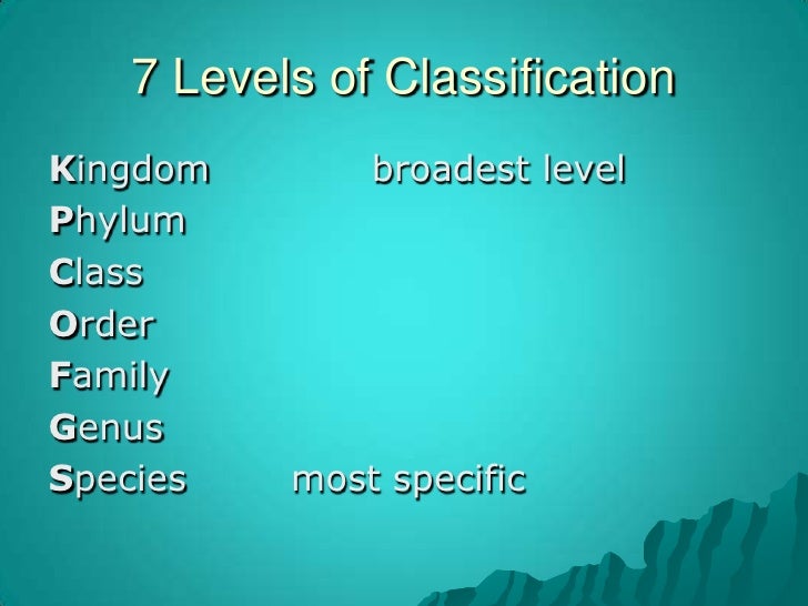 Which is the broadest classification level?