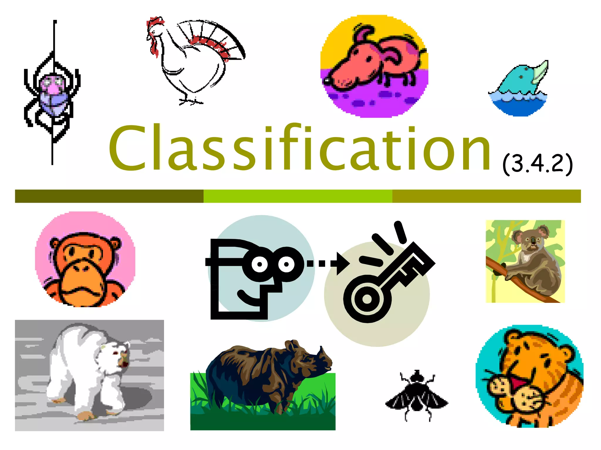 Classification%20 powerpoint[1] | PPT