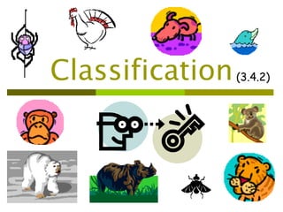Classification   (3.4.2)
 