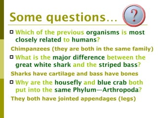 Some questions…
   Which of the previous organisms is most
    closely related to humans?
Chimpanzees (they are both in the same family)
   What is the major difference between the
    great white shark and the striped bass?
Sharks have cartilage and bass have bones
   Why are the housefly and blue crab both
    put into the same Phylum—Arthropoda?
They both have jointed appendages (legs)
 