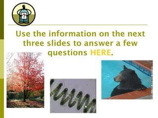 Use the information on the next
 three slides to answer a few
        questions HERE.
 