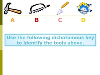 A        B        C        D


Use the following dichotomous key
    to identify the tools above.
 