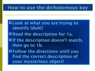 How to use the dichotomous key


 Look  at what you are trying to
  identify (duh!)
 Read the description for 1a.
 If the description doesn’t match,
  then go to 1b.
 Follow the directions until you
  find the correct description of
  your mysterious object!
 