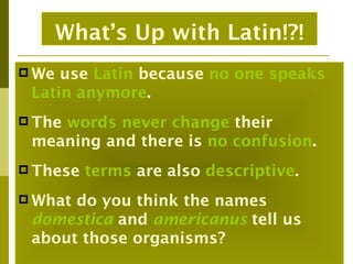 What’s Up with Latin!?!
 We use Latin because no one speaks
 Latin anymore.
 The
    words never change their
 meaning and there is no confusion.
 These   terms are also descriptive.
 Whatdo you think the names
 domestica and americanus tell us
 about those organisms?
 