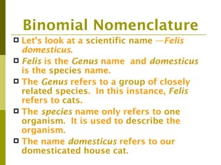 Binomial Nomenclature
 Let’s look at a scientific name —Felis
  domesticus.
 Felis is the Genus name and domesticus
  is the species name.
 The Genus refers to a group of closely
  related species. In this instance, Felis
  refers to cats.
 The species name only refers to one
  organism. It is used to describe the
  organism.
 The name domesticus refers to our
  domesticated house cat.
 