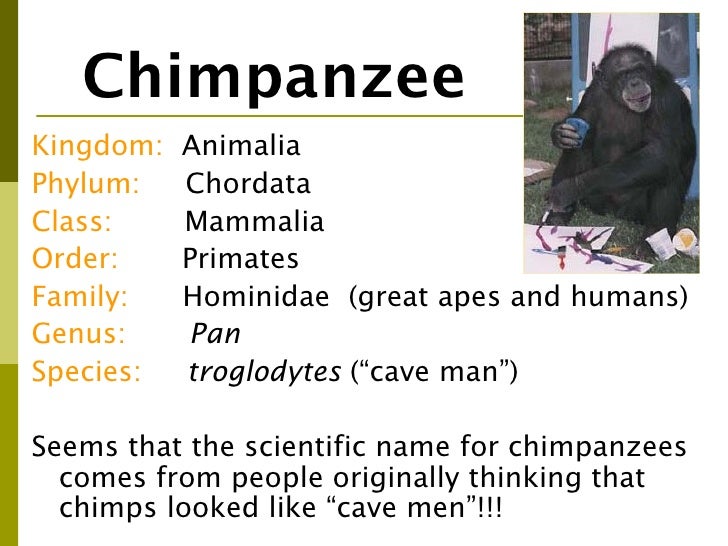 Classification%20 powerpoint[1]