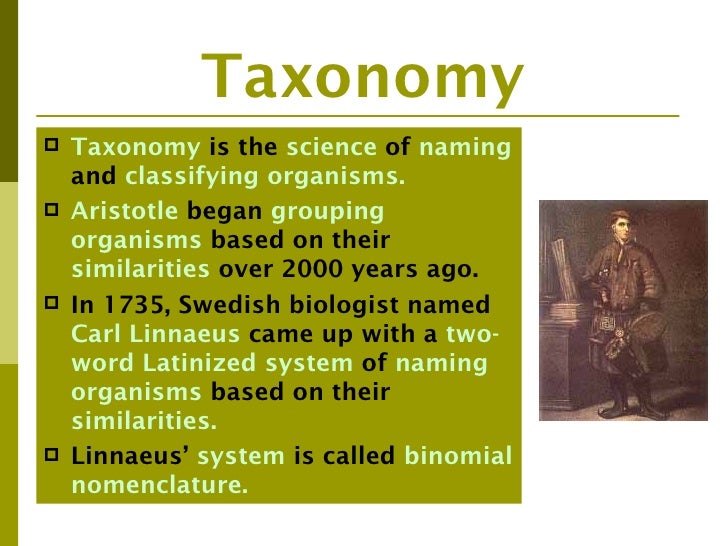 What is Linnaeus' two-word system for naming organisms called?