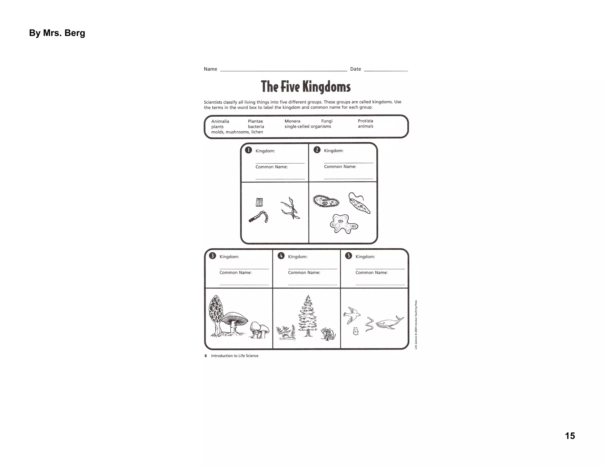Classification &amp; 6 kingdoms of living things berg | PPT