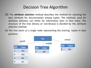 Classification Algorithms | PPT | Gardening | Home & Garden