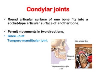 Classification and Applied Aspects of Joints.pptx