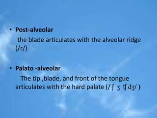• Post-alveolar 
the blade articulates with the alveolar ridge 
(/r/) 
• Palato -alveolar 
The tip ,blade, and front of the tongue 
articulates with the hard palate (/ ʃ ʒ tʃ dʒ/ ) 
 
