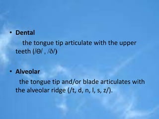 • Dental 
the tongue tip articulate with the upper 
teeth (/Ɵ/ , /ð/) 
• Alveolar 
the tongue tip and/or blade articulates with 
the alveolar ridge (/t, d, n, l, s, z/). 
 