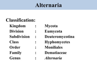 Classification and diagnostic charecterstics of main plant pathogenic ...