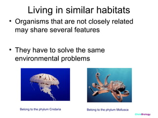 Living in similar habitats
• Organisms that are not closely related
may share several features
• They have to solve the same
environmental problems

Belong to the phylum Cnidaria

Belong to the phylum Mollusca
ClickBiology

 