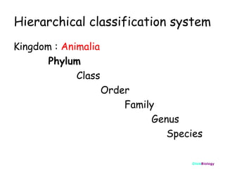 Hierarchical classification system
Kingdom : Animalia
Phylum
Class
Order
Family
Genus
Species
ClickBiology

 