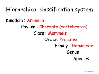 Hierarchical classification system
Kingdom : Animalia
Phylum : Chordata (vertebrates)
Class : Mammals
Order: Primates
Family : Hominidae
Genus
Species
ClickBiology

 