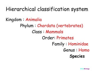 Hierarchical classification system
Kingdom : Animalia
Phylum : Chordata (vertebrates)
Class : Mammals
Order: Primates
Family : Hominidae
Genus : Homo
Species
ClickBiology

 