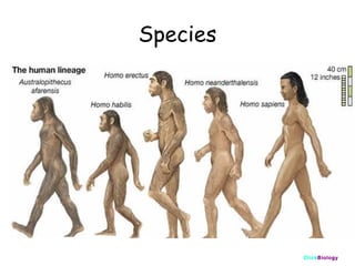 Species

ClickBiology

 