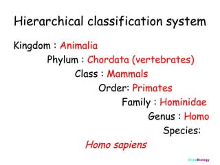 Hierarchical classification system
Kingdom : Animalia
Phylum : Chordata (vertebrates)
Class : Mammals
Order: Primates
Family : Hominidae
Genus : Homo
Species:
Homo sapiens
ClickBiology

 
