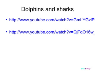 Dolphins and sharks

• http://www.youtube.com/watch?v=GmLYGzlPL

• http://www.youtube.com/watch?v=QjFqO16w_

ClickBiology

 