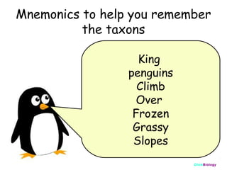 Mnemonics to help you remember
the taxons
King
penguins
Climb
Over
Frozen
Grassy
Slopes
ClickBiology

 