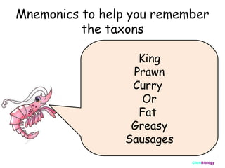 Mnemonics to help you remember
the taxons
King
Prawn
Curry
Or
Fat
Greasy
Sausages
ClickBiology

 
