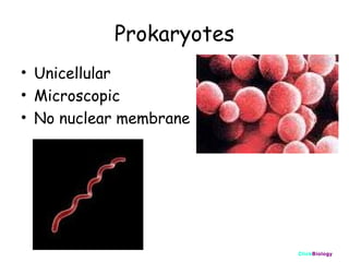 Prokaryotes
• Unicellular
• Microscopic
• No nuclear membrane

ClickBiology

 