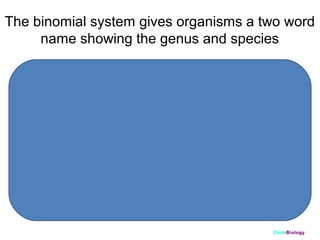The binomial system gives organisms a two word
name showing the genus and species
Genus

species Genus

Panthera leo

species

Panthera tigris

Genus

species

Panthera pardus

ClickBiology

 